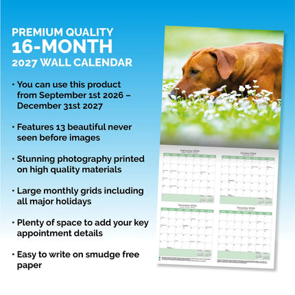 Baker & Bray Rhodesian Ridgeback Kalender 2027