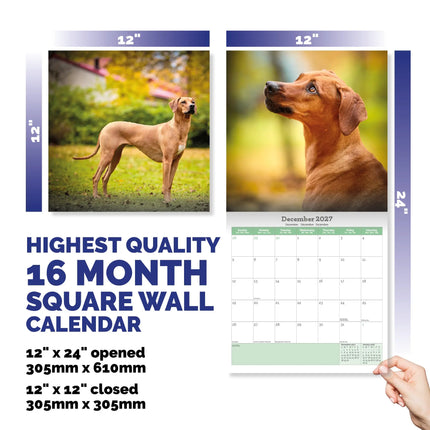 Baker & Bray Rhodesian Ridgeback Kalender 2027