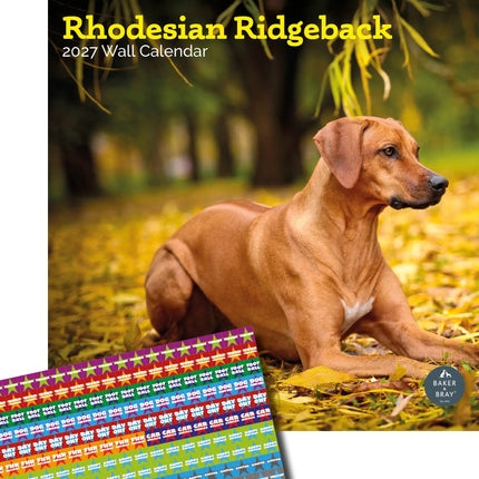 Baker & Bray Rhodesian Ridgeback Kalender 2027