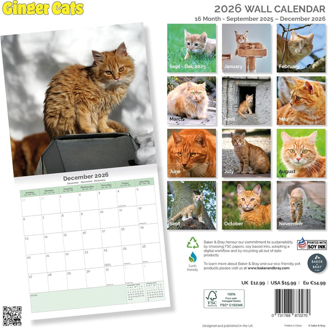 Baker & Bray Rode Katten Kalender 2026