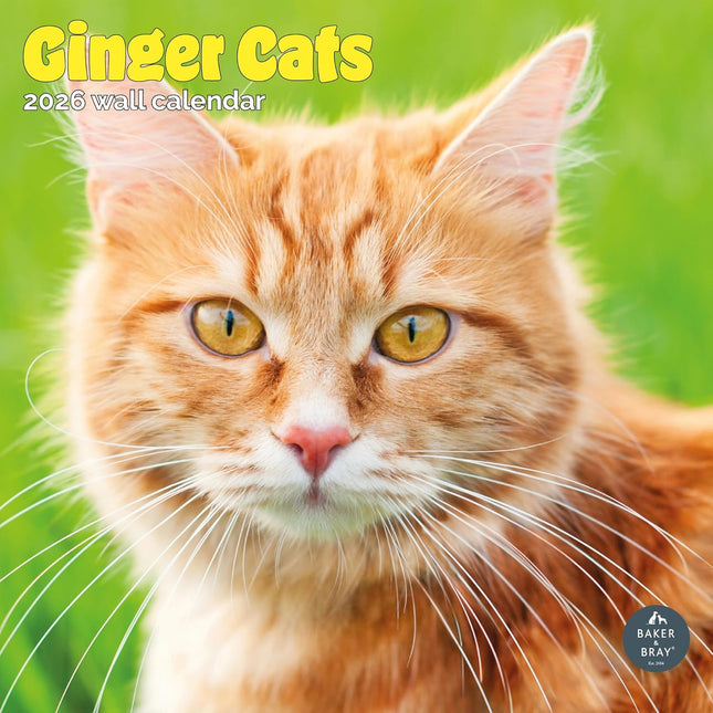 Baker & Bray Rode Katten Kalender 2026