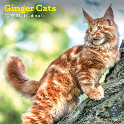 Baker & Bray Rode Katten Kalender 2027