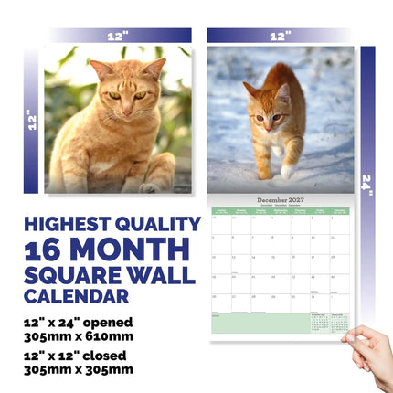 Baker & Bray Rode Katten Kalender 2027