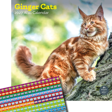 Baker & Bray Rode Katten Kalender 2027