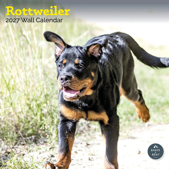 Baker & Bray Rottweiler Kalender 2026