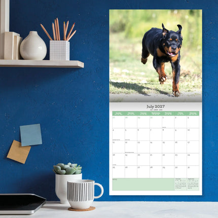 Baker & Bray Rottweiler Kalender 2026