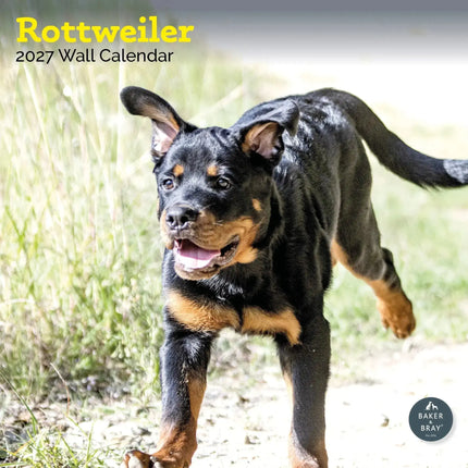 Baker & Bray Rottweiler Kalender 2027
