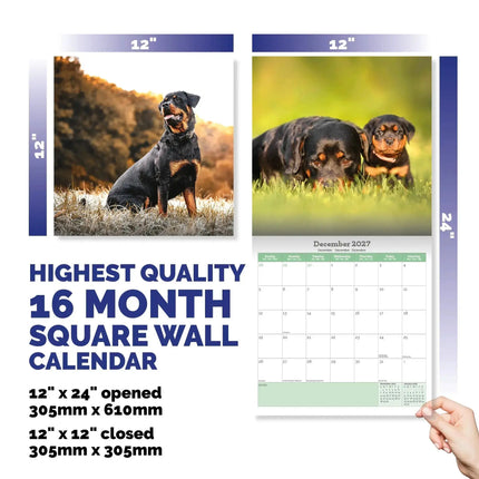 Baker & Bray Rottweiler Kalender 2027