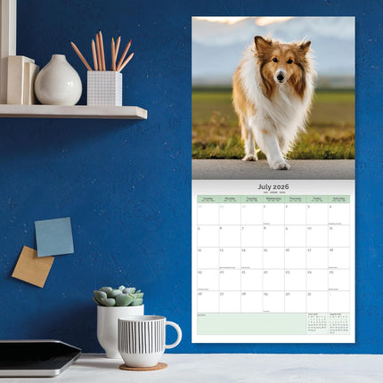Baker & Bray Shetland Sheepdog Kalender 2026