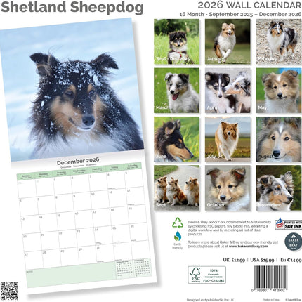 Baker & Bray Shetland Sheepdog Kalender 2026