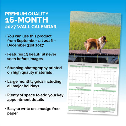 Baker & Bray Shetland Sheepdog Kalender 2026
