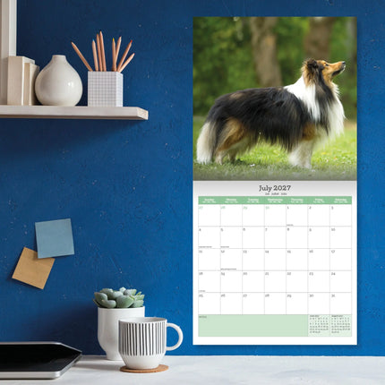 Baker & Bray Shetland Sheepdog Kalender 2026