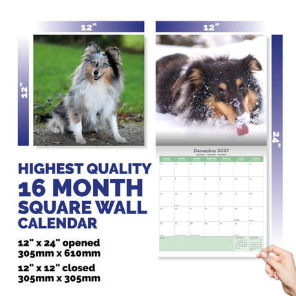 Baker & Bray Shetland Sheepdog Kalender 2026