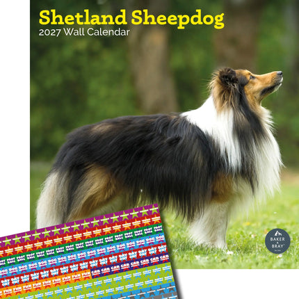 Baker & Bray Shetland Sheepdog Kalender 2026