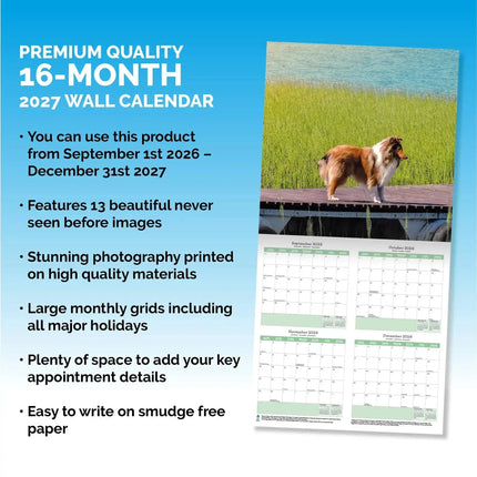Baker & Bray Shetland Sheepdog Kalender 2027