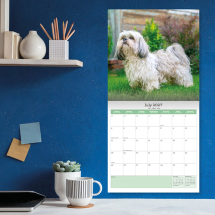Baker & Bray Shih Tzu Kalender 2026