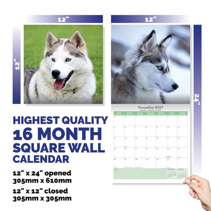 Baker & Bray Siberische Husky Kalender 2026