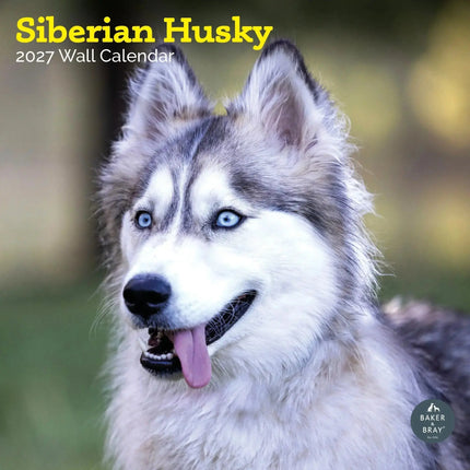Baker & Bray Siberische Husky Kalender 2027