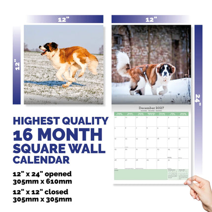 Baker & Bray Sint Bernard Kalender 2027