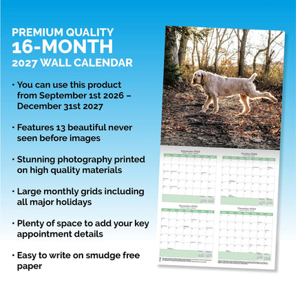 Baker & Bray Spinone Italiano Kalender 2027