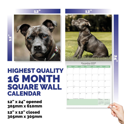 Baker & Bray Staffordshire Bull Terrier Kalender 2026