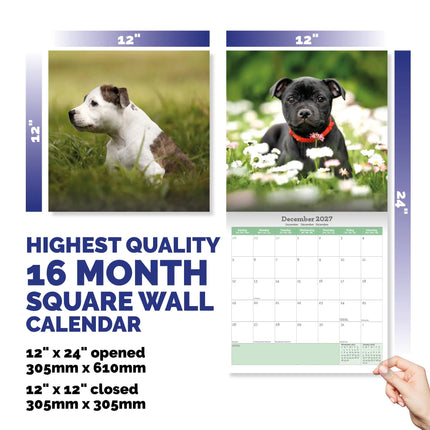 Baker & Bray Staffordshire Bull Terrier Puppies Kalender 2026
