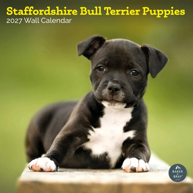 Baker & Bray Staffordshire Bull Terrier Puppies Kalender 2027