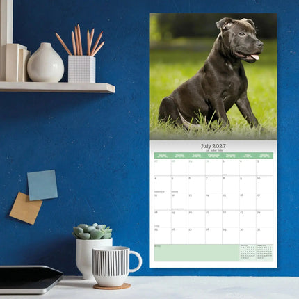 Baker & Bray Staffordshire Bull Terrier Puppies Kalender 2027