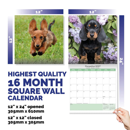 Baker & Bray Teckel Kalender 2027