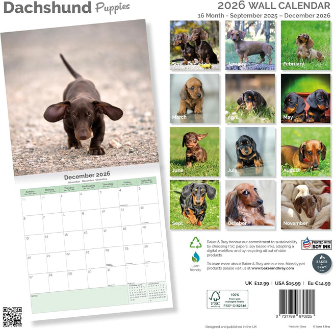 Baker & Bray Teckel Puppies Kalender 2026