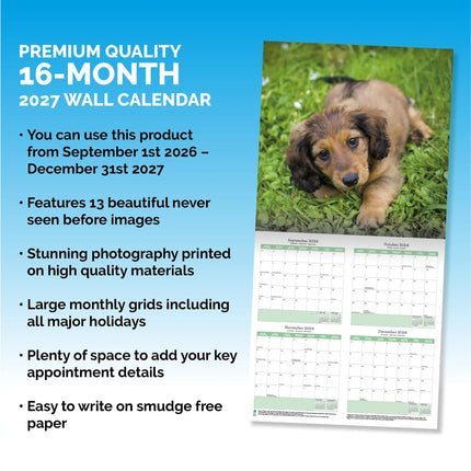 Baker & Bray Teckel Puppies Kalender 2027