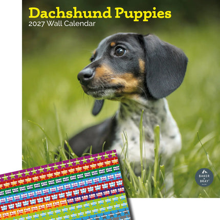 Baker & Bray Teckel Puppies Kalender 2027