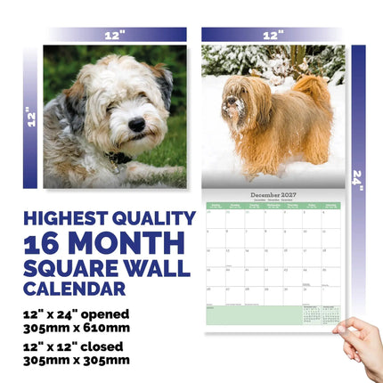 Baker & Bray Tibetaanse Terrier Kalender 2027