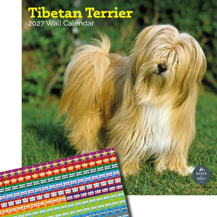 Baker & Bray Tibetaanse Terrier Kalender 2027