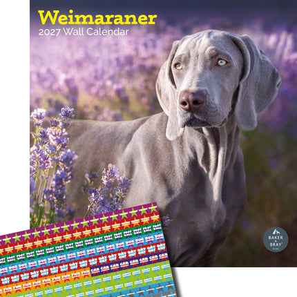 Baker & Bray Weimaraner Kalender 2027