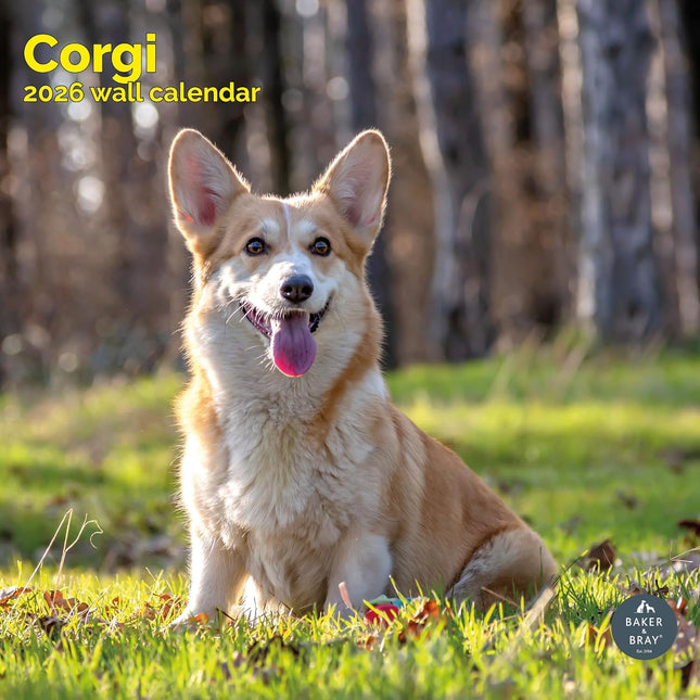 Baker & Bray Welsh Corgi Kalender 2026