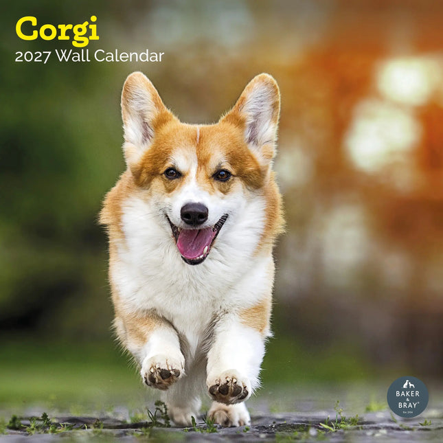 Baker & Bray Welsh Corgi Kalender 2026