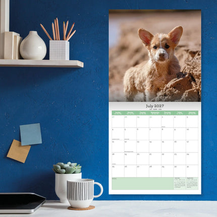 Baker & Bray Welsh Corgi Kalender 2026
