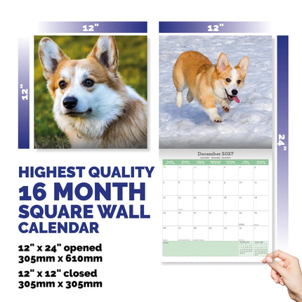 Baker & Bray Welsh Corgi Kalender 2026