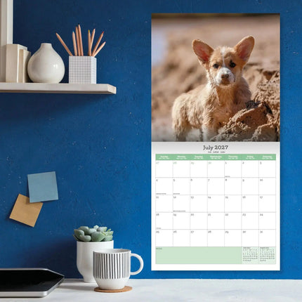 Baker & Bray Welsh Corgi Kalender 2027