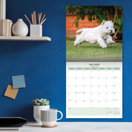 Baker & Bray West Highland White Terrier Kalender 2026