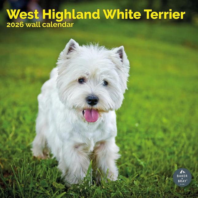 Baker & Bray West Highland White Terrier Kalender 2026