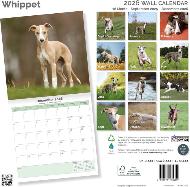Baker & Bray Whippet Kalender 2026