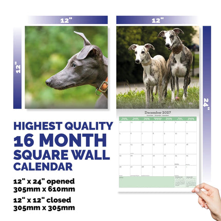 Baker & Bray Whippet Kalender 2026