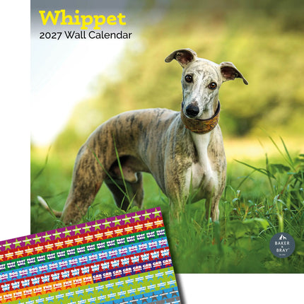 Baker & Bray Whippet Kalender 2026