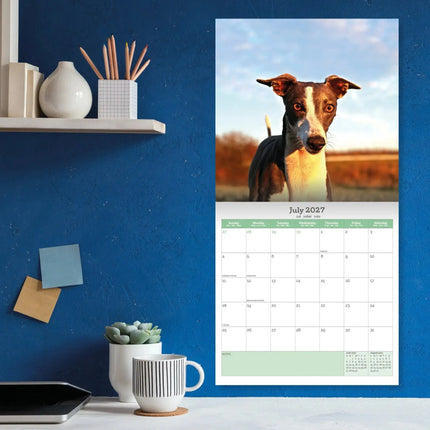 Baker & Bray Whippet Kalender 2027