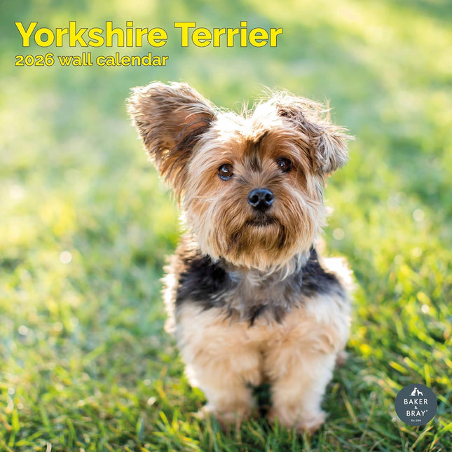 Baker & Bray Yorkshire Terrier Kalender 2026