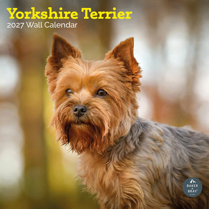 Baker & Bray Yorkshire Terrier Kalender 2026