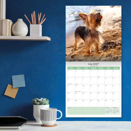Baker & Bray Yorkshire Terrier Kalender 2027
