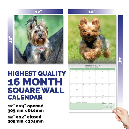 Baker & Bray Yorkshire Terrier Kalender 2027